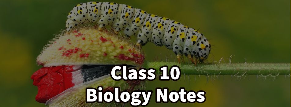 Class 10 Biology Notes for Session 2024-25